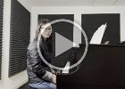 Iris  Iris